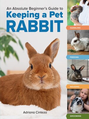 cover image of An Absolute Beginner's Guide to Keeping a Pet Rabbit
